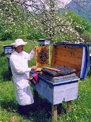 sch-bee-keepers.jpg - 299x400 - 57,673 bytes - Click to close